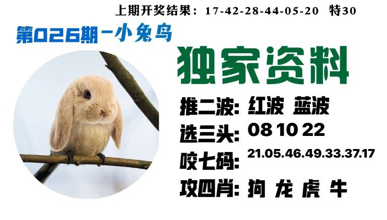 026期小兔鸟[图]