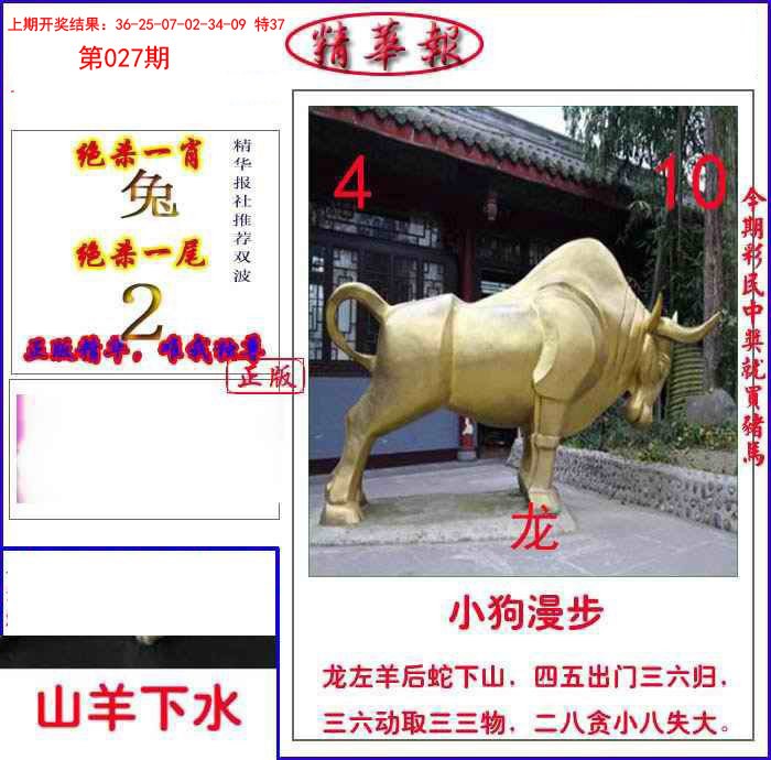 027期新精华报报[图]