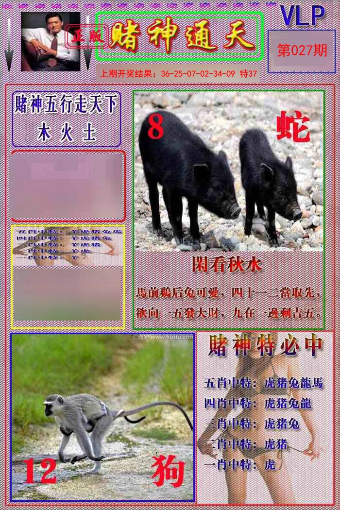 027期赌神通天报[图]