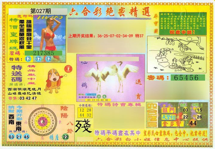 027期绝密精选A[图]