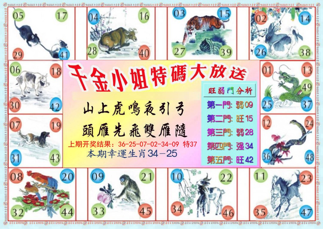 027期千金小姐B版[图]