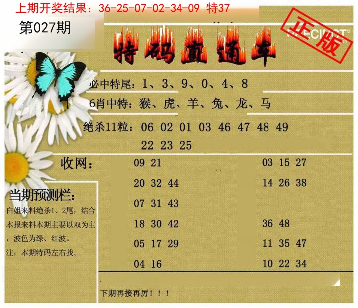 027期特码直通车[图]