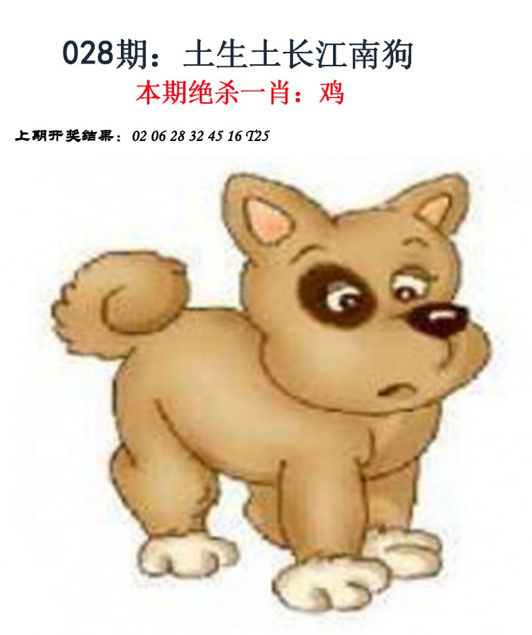 028期金钱豹自有真功夫[图]