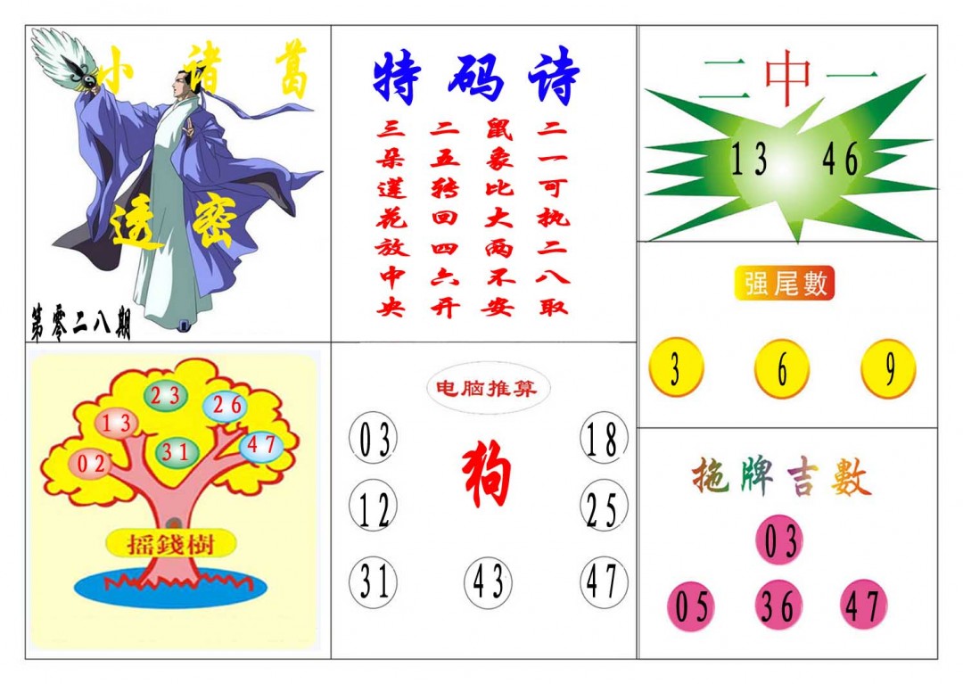 028期小诸葛[图]