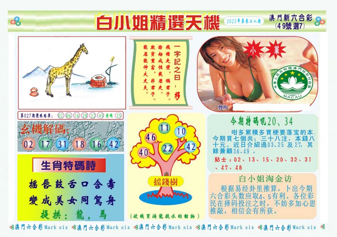 028期白小姐精选玄机A[图]