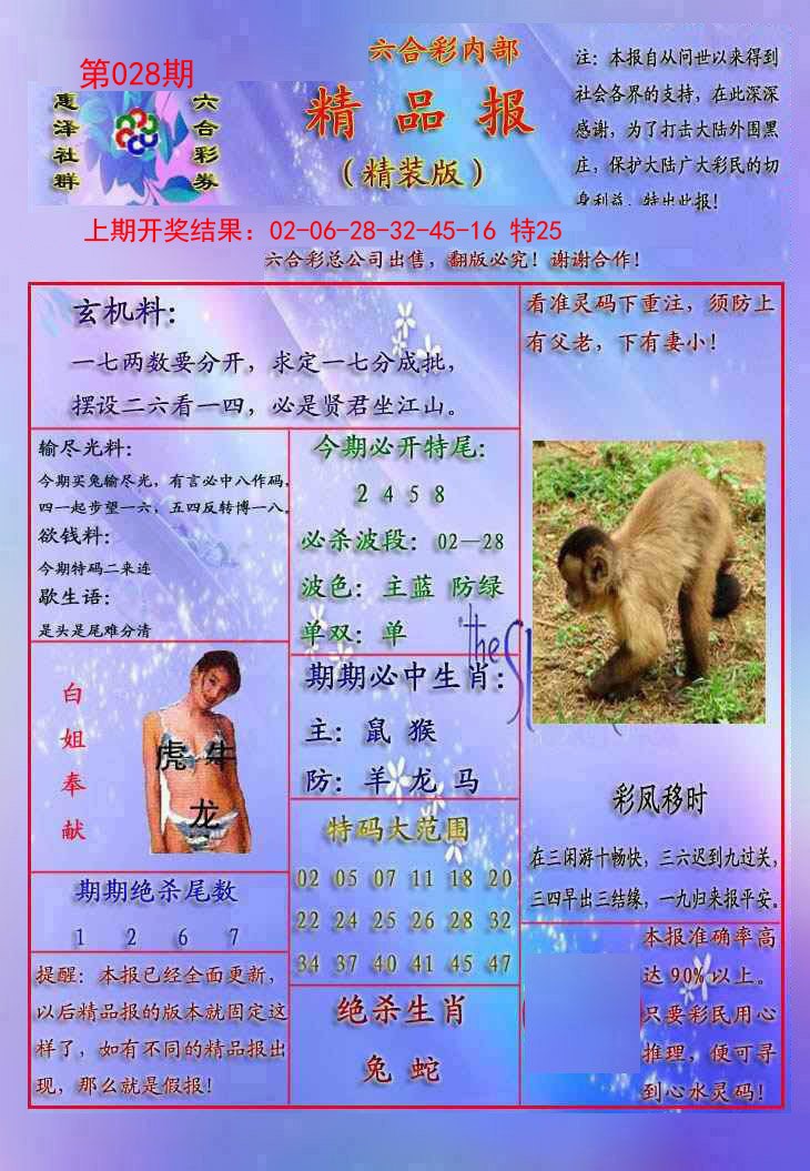028期精品报[图]