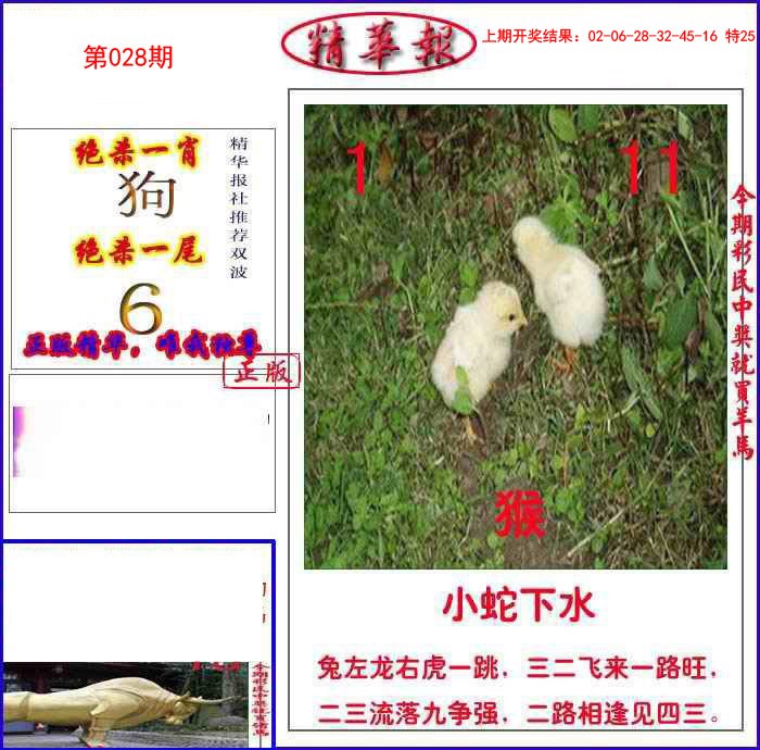 028期新精华报报[图]