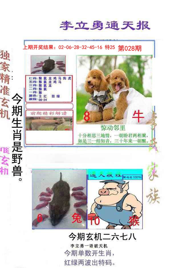 028期李立勇通天报[图]