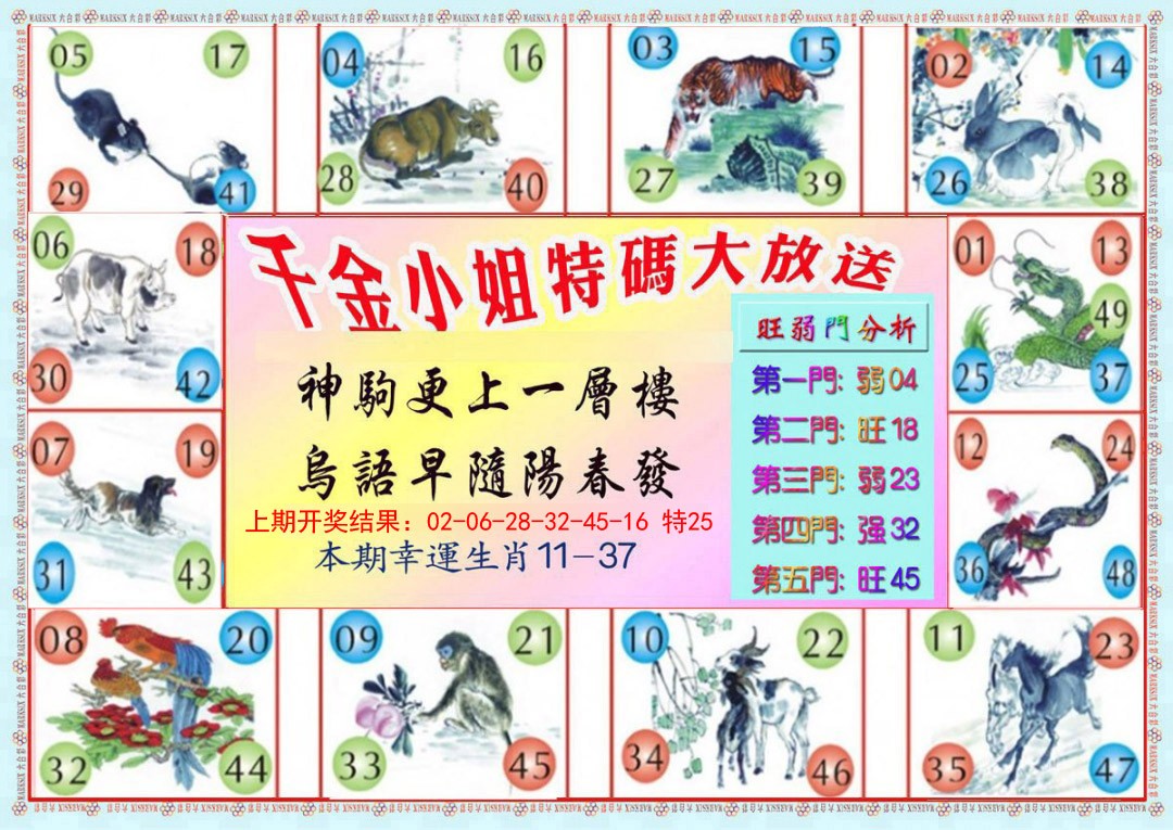 028期千金小姐B版[图]