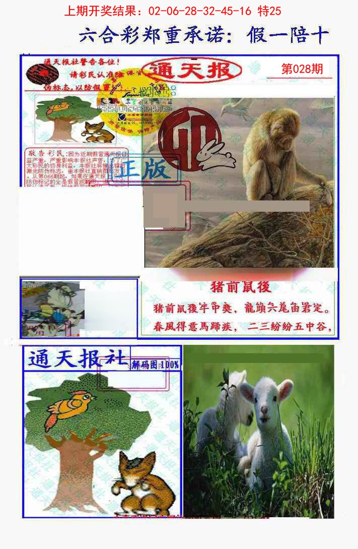 028期假一陪十通天报[图]