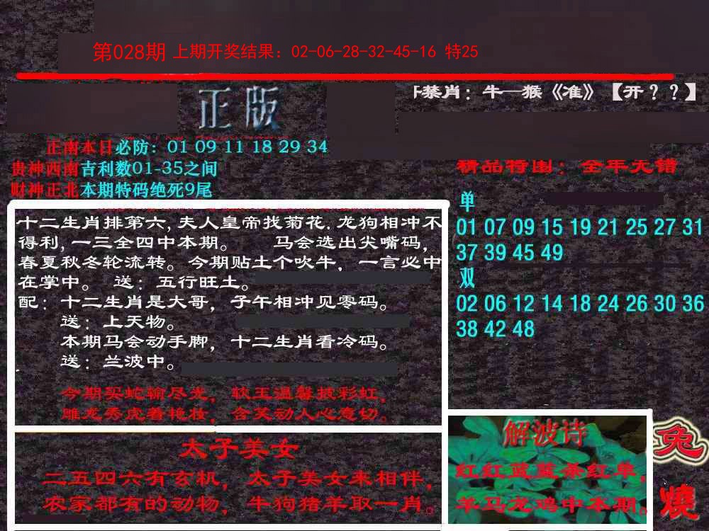 028期新港内幕[图]