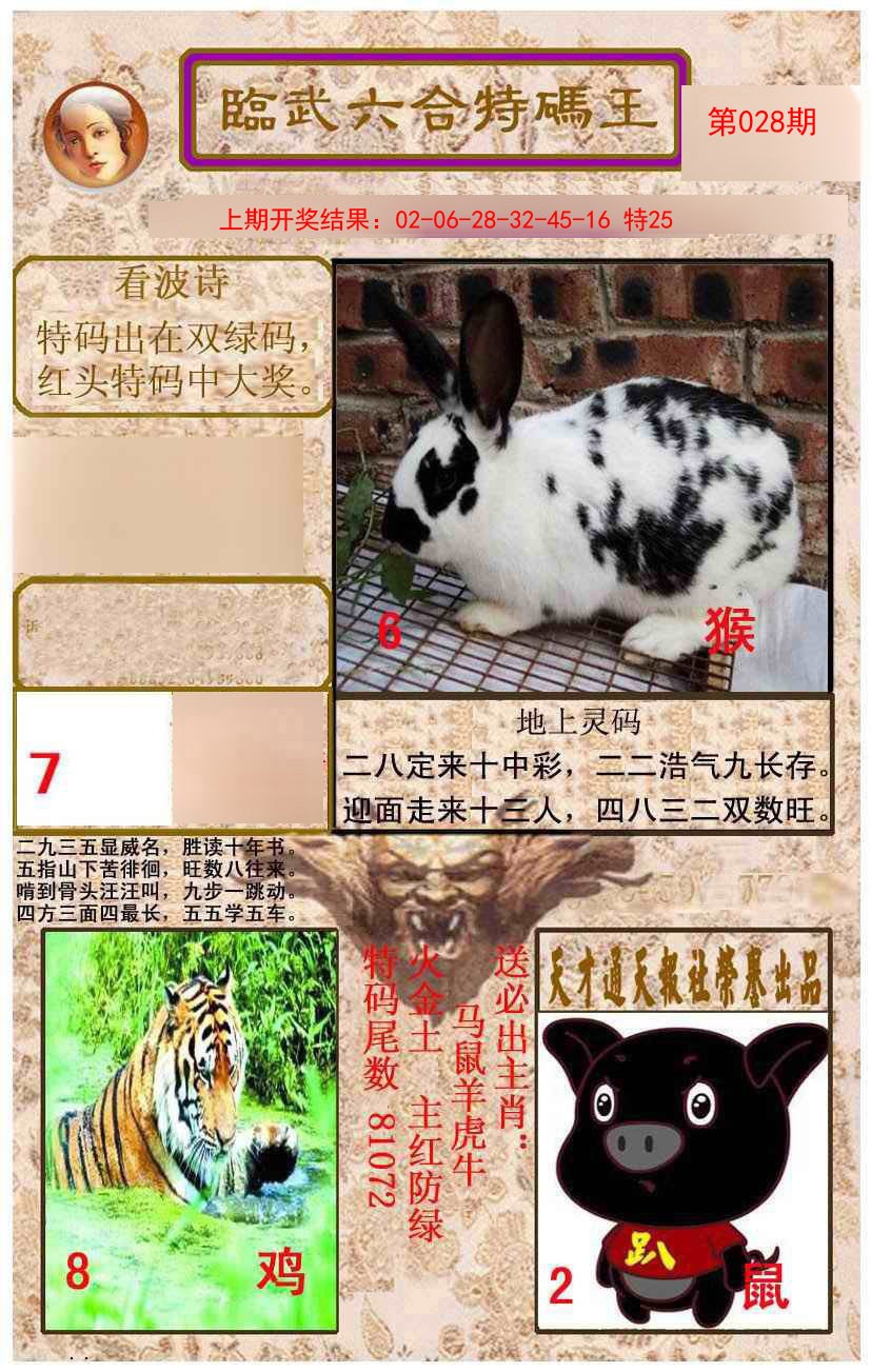 028期临武六合特码王[图]