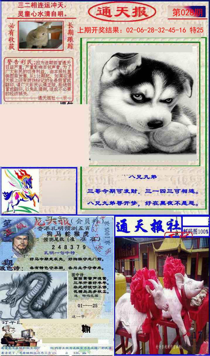028期实力通天报[图]