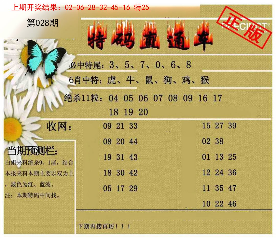 028期特码直通车[图]