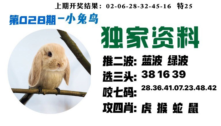 028期小兔鸟[图]