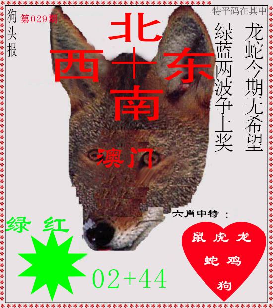 029期狗头报[图]