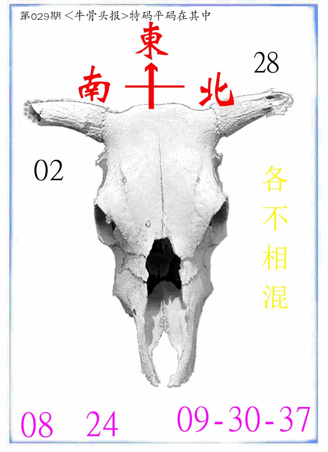029期牛派系列7[图]