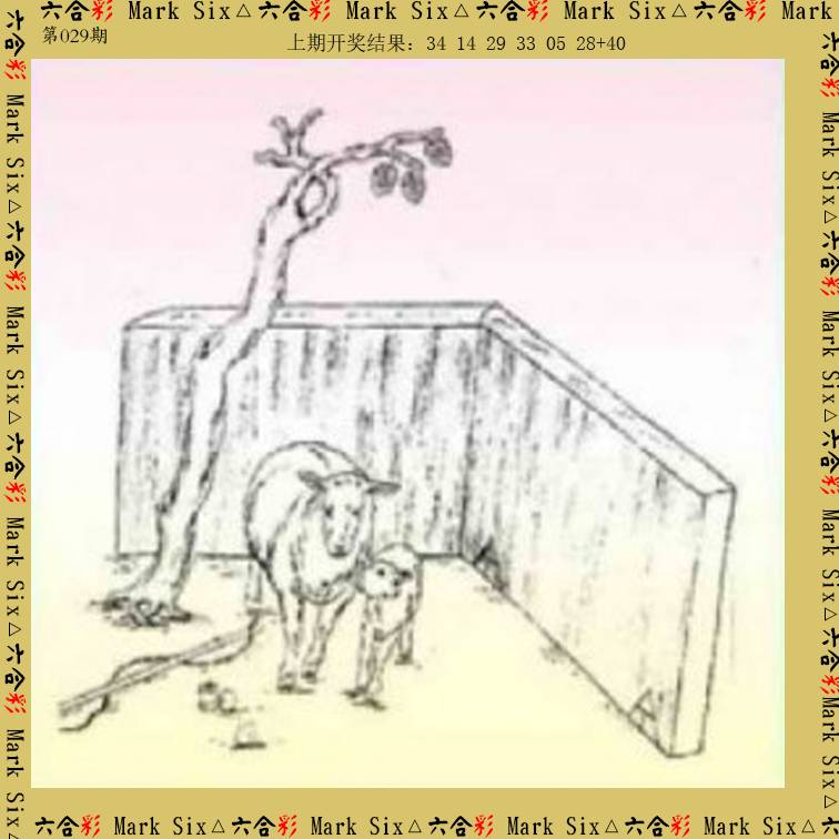 029期藏宝图[图]