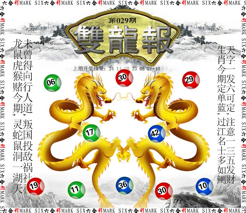 029期双龙报[图]