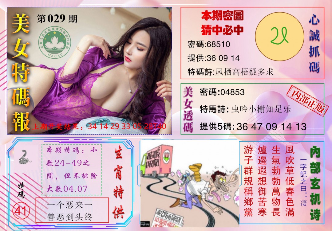 029期美女特码报[图]