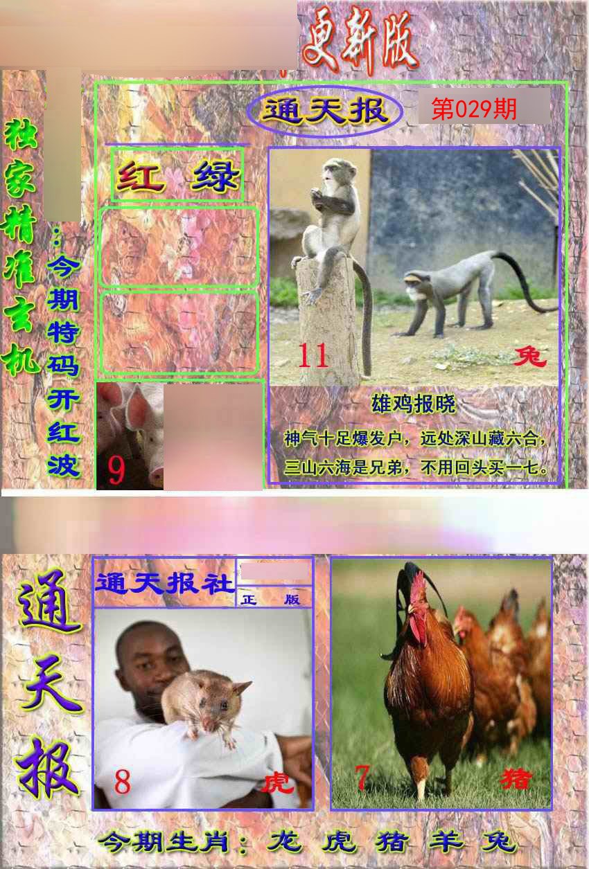 029期新通报[图]