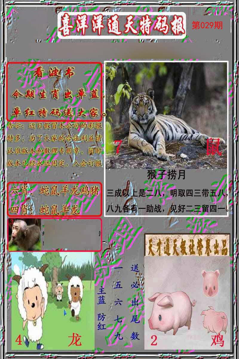 029期洋通报[图]