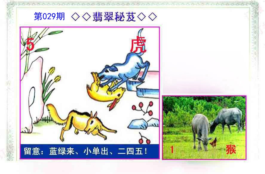 029期翡翠报[图]