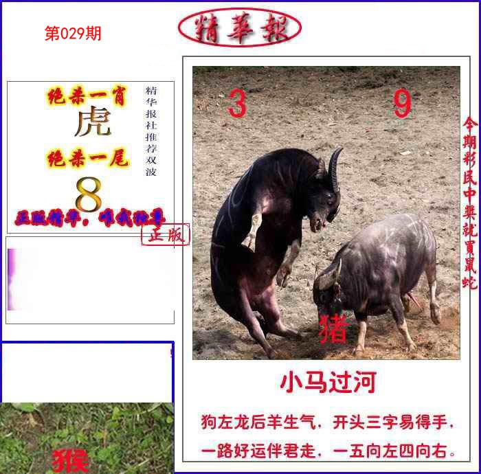 029期新精华报报[图]