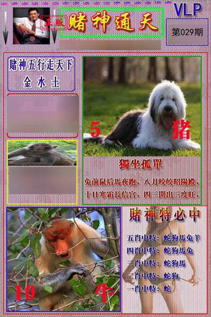 029期赌神通天报[图]