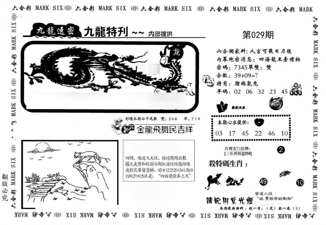 029期九龙特新刊[图]