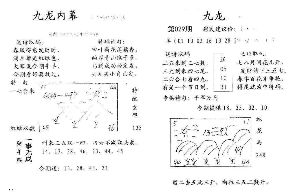 029期九龙内幕[图]