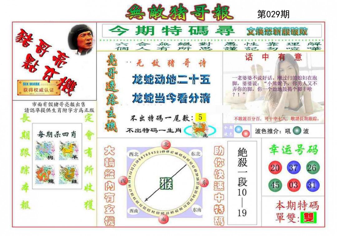 029期无敌猪哥[图]