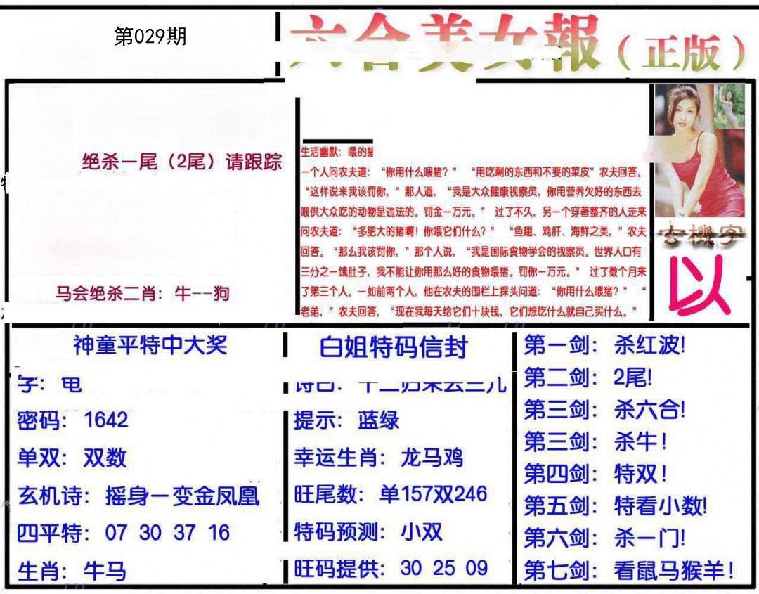 029期美女报[图]
