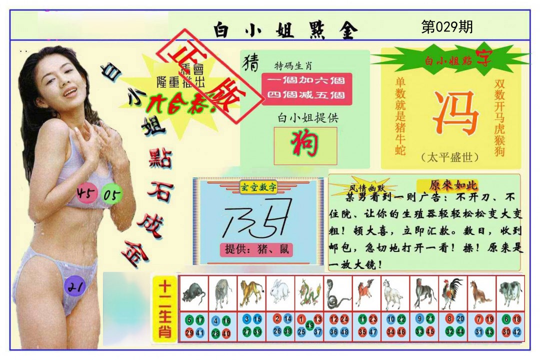 029期白小姐点金[图]