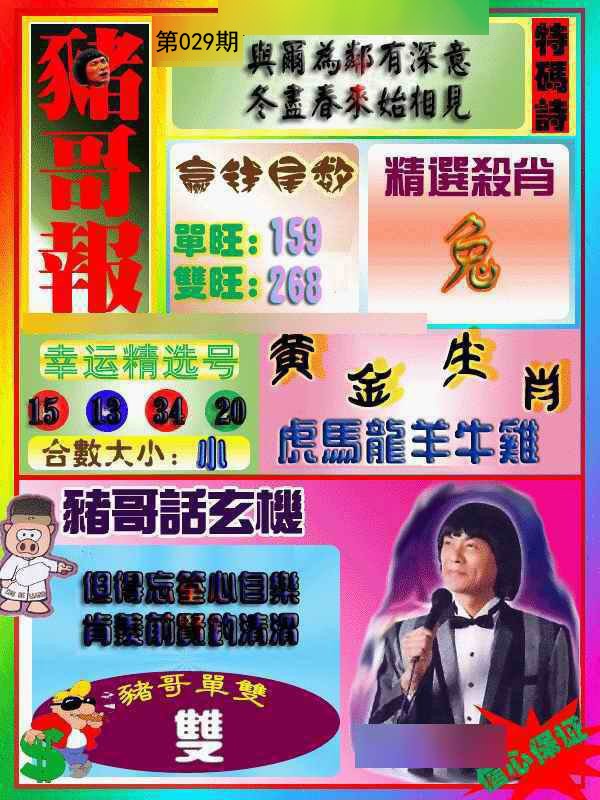 029期猪哥报[图]