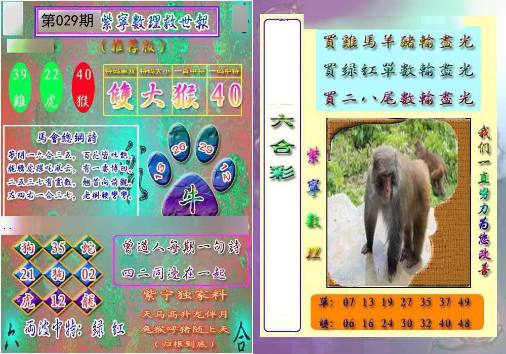 029期数理救世报[图]