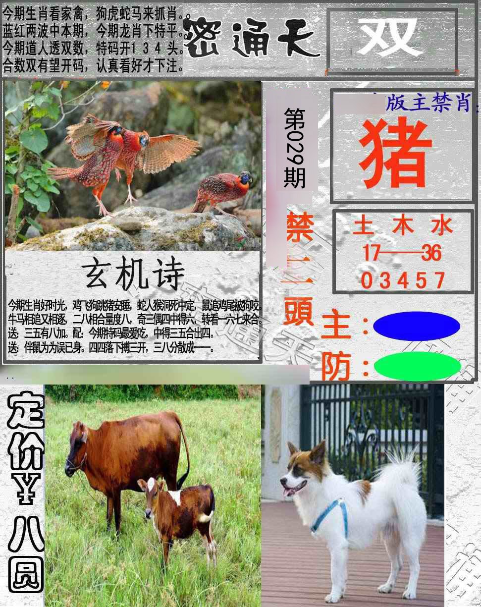 029期密通天[图]