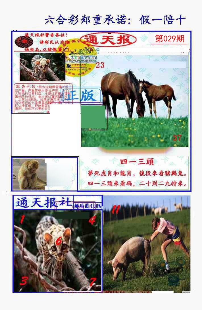 029期假一陪十通天报[图]