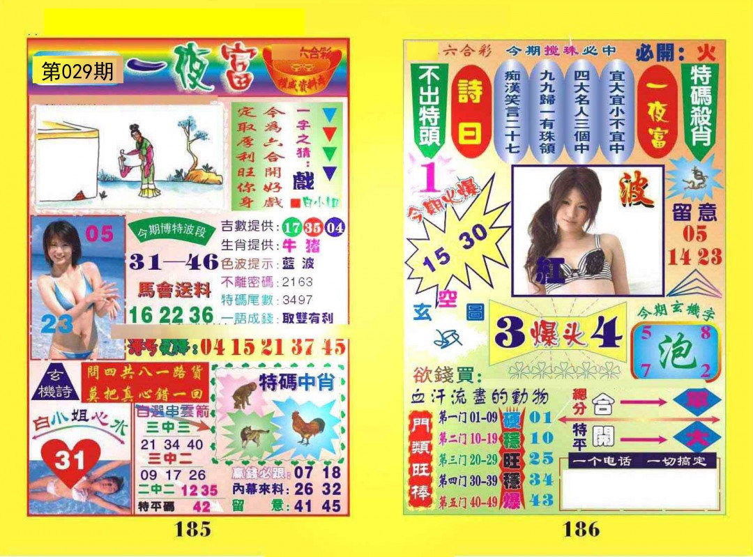 029期一夜富[图]