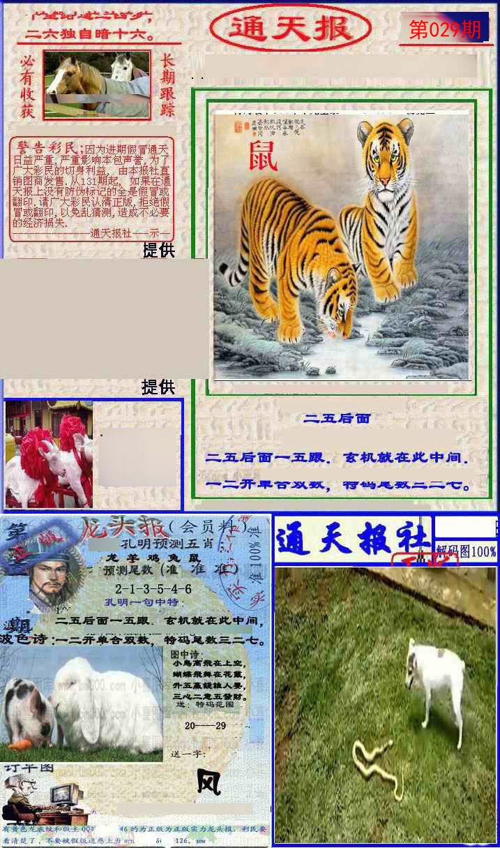 029期实力通天报[图]