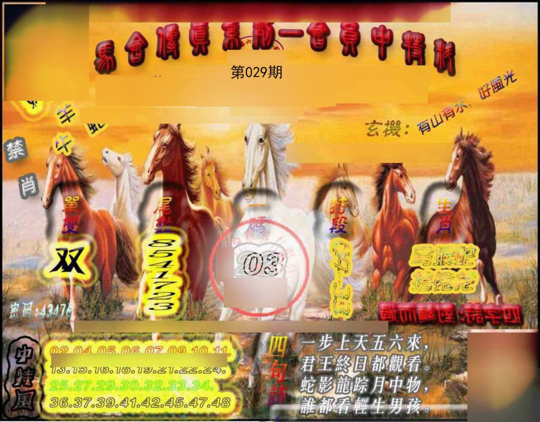 029期马会传真-会员报[图]