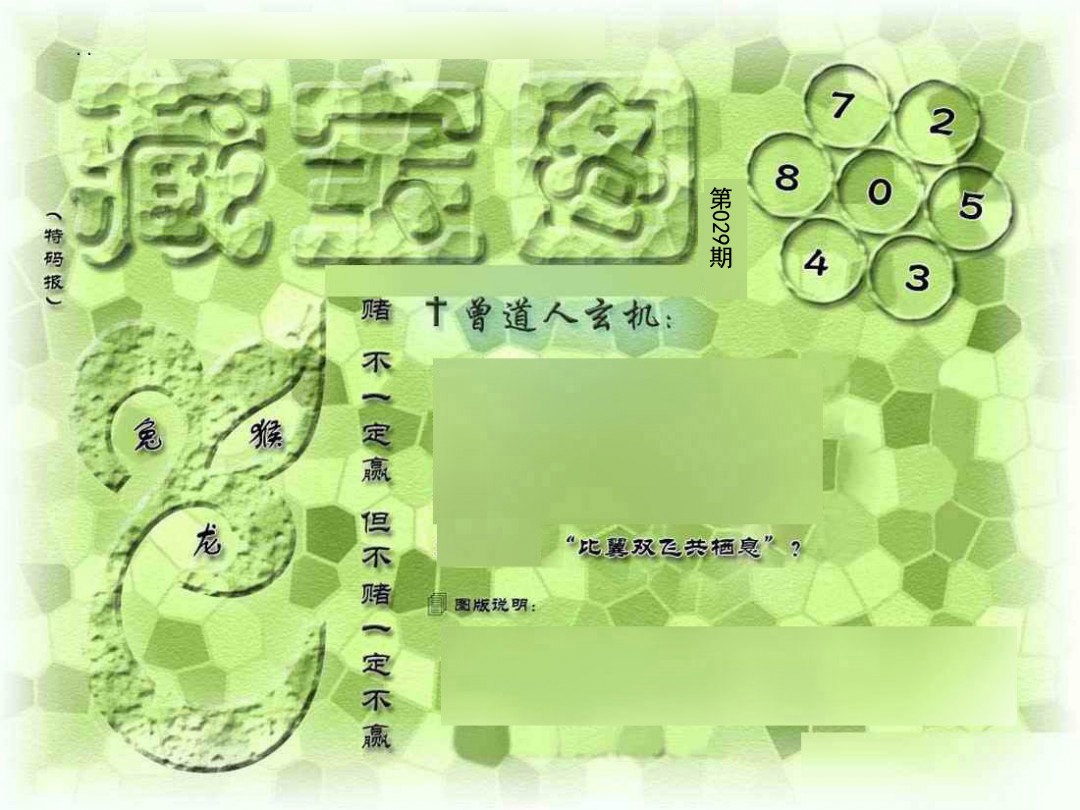 029期假新藏宝图[图]