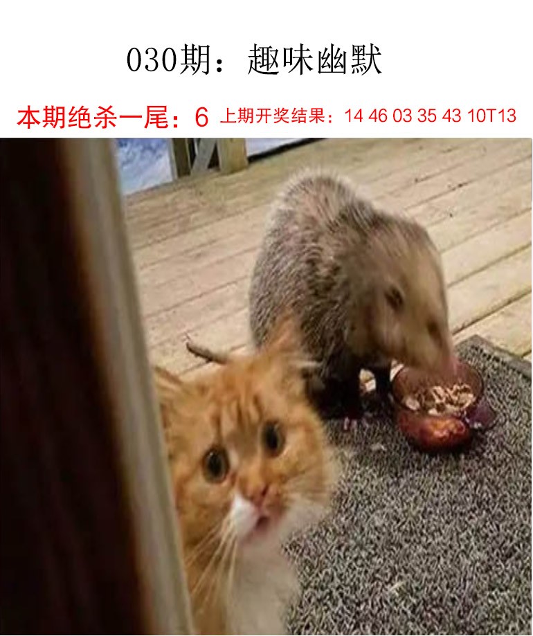 030期趣味幽默[图]