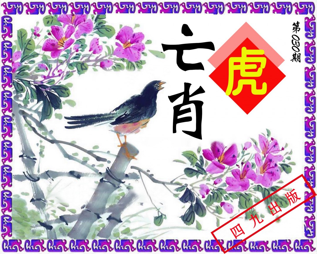 030期神鸟版[图]