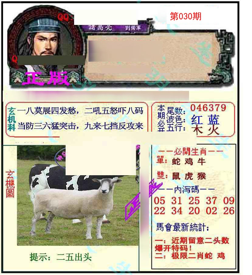 030期正宗孔明[图]