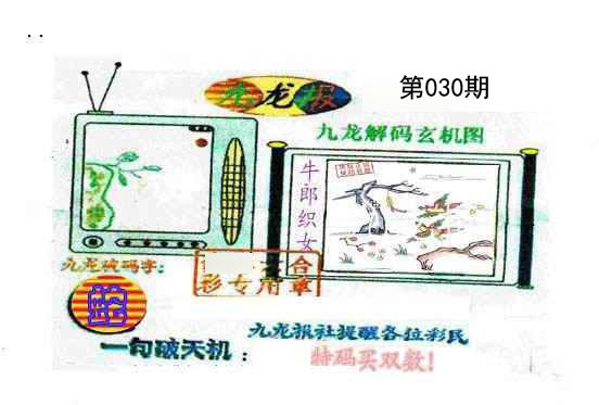 030期九龙报[图]