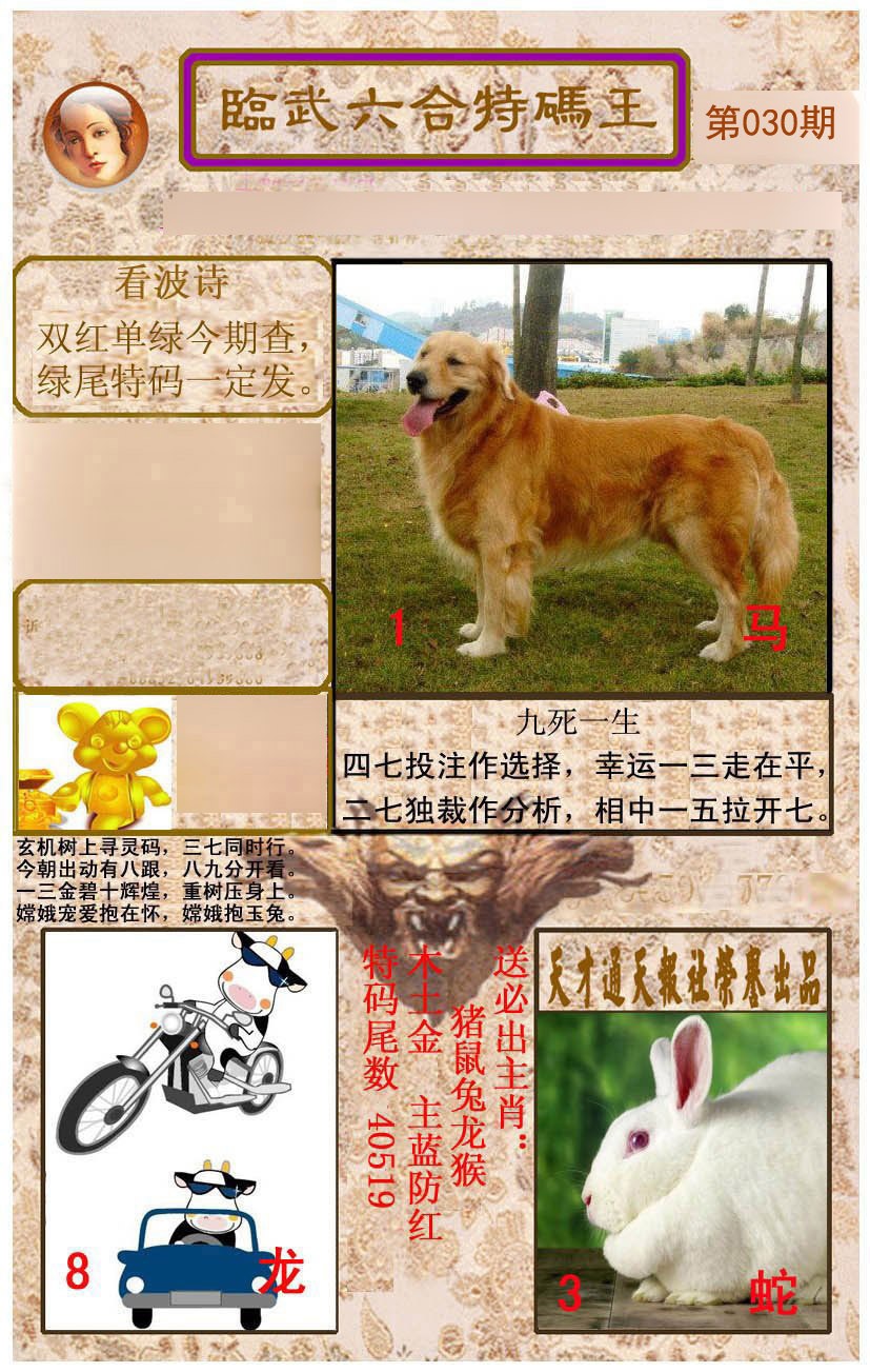 030期临武六合特码王[图]