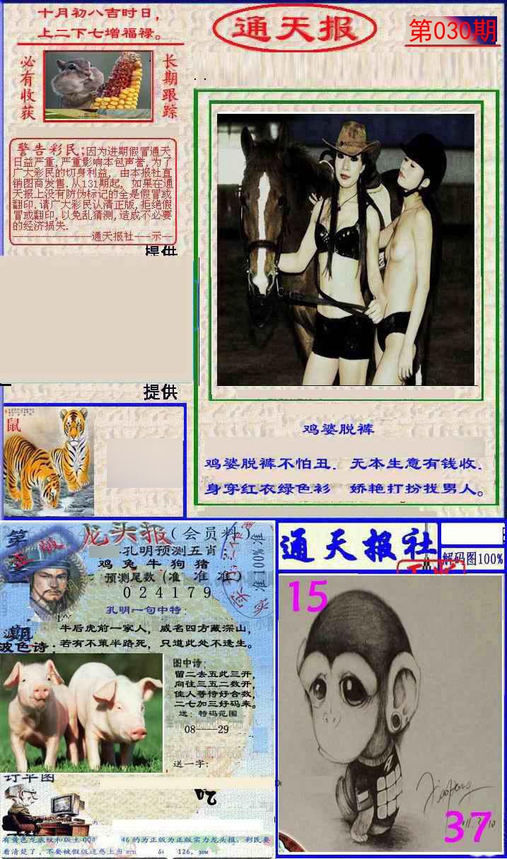 030期实力通天报[图]