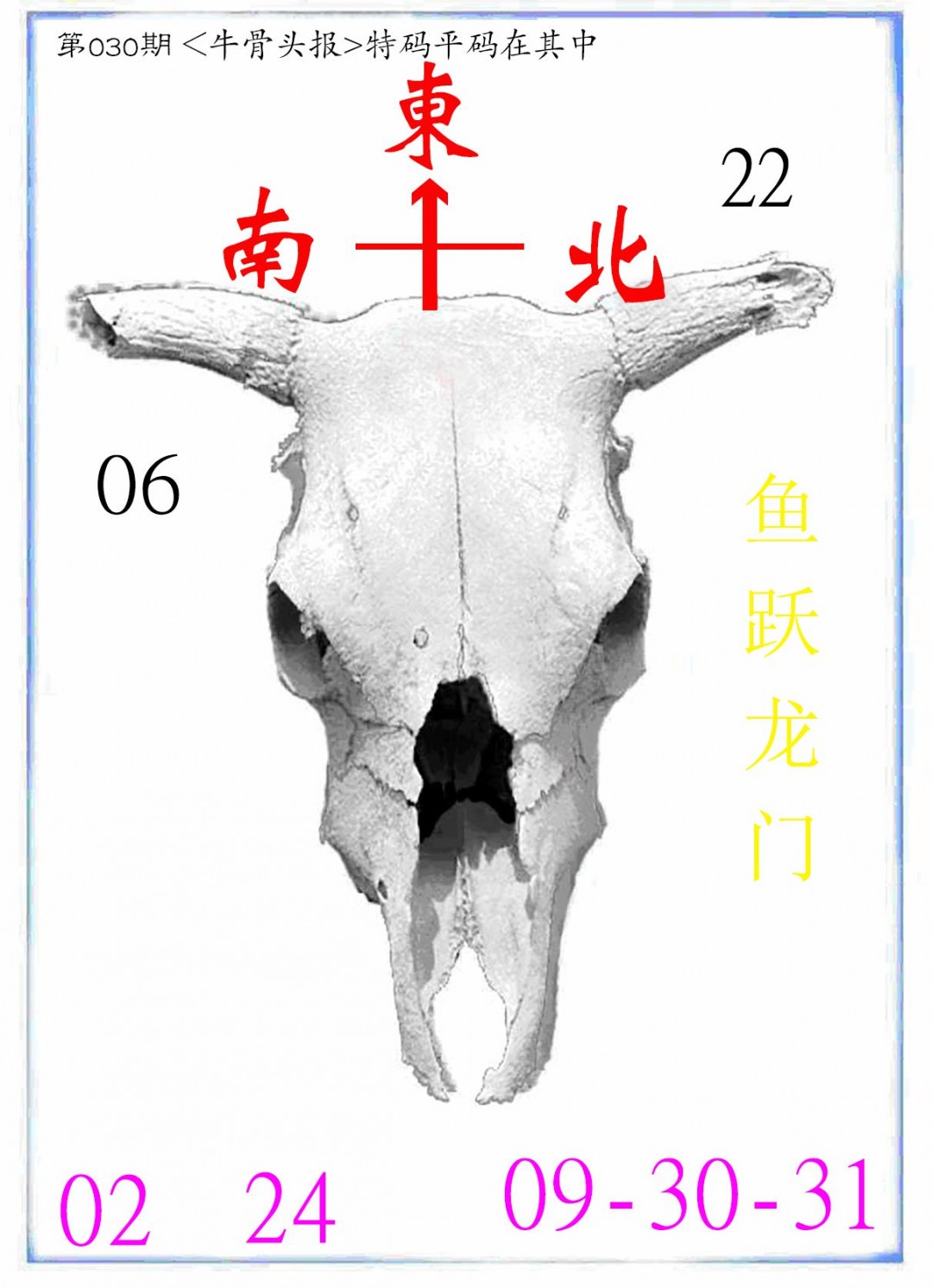 030期牛派系列7[图]