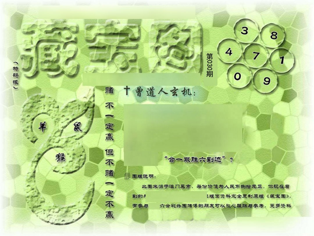 030期假新藏宝图[图]